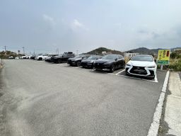 IMG_9646.jpg