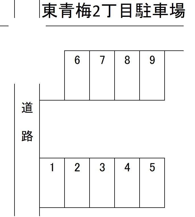 54.jpg